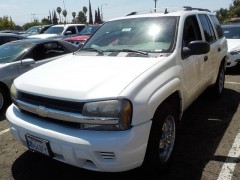 BUY CHEVROLET TRAILBLAZER 2006 4DR 2WD LS, WSM Auctions