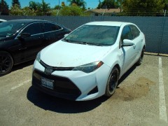 BUY TOYOTA COROLLA 2019, WSM Auctions